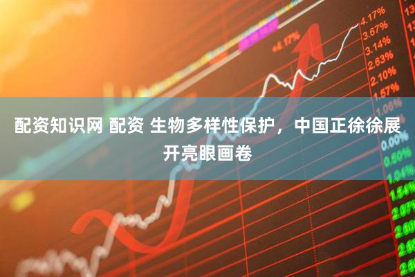 配资知识网 配资 生物多样性保护，中国正徐徐展开亮眼画卷